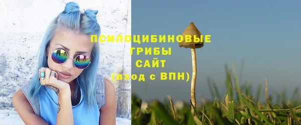 сатива Алексин