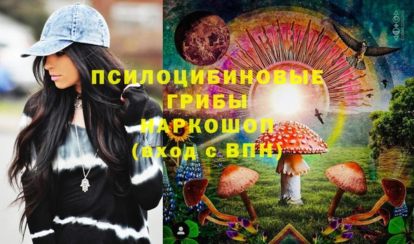 сатива Алексин