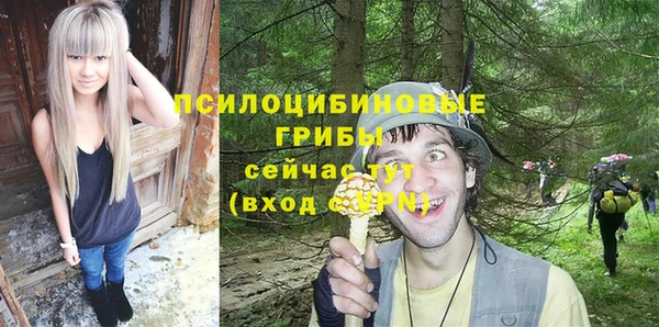 сатива Алексин